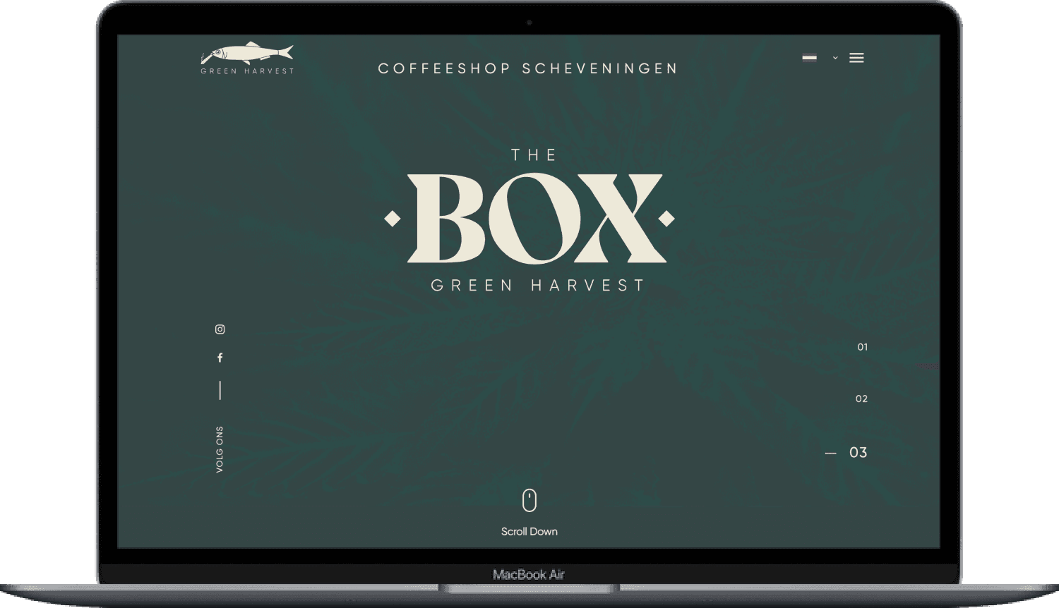 The Box website